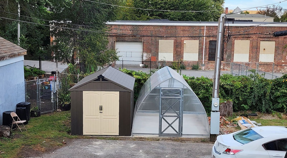 A Simple Way to Grow Healthier Plants with the Sungrow Urban