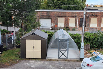 A Simple Way to Grow Healthier Plants with the Sungrow Urban