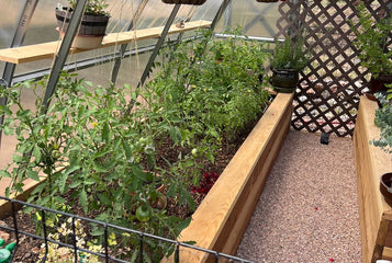 Growing at 8,800 Feet with the Sungrow Urban Greenhouse