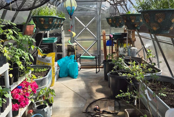 From Ordinary Gardening to Extraordinary Harvests with the Sungrow 20