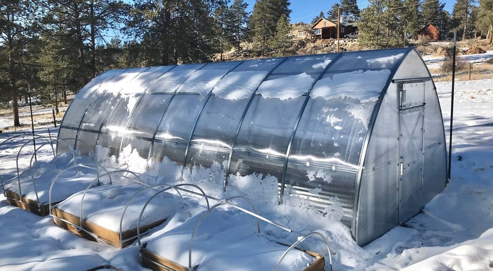 The humidity it makes... at 9,000 feet in central Colorado