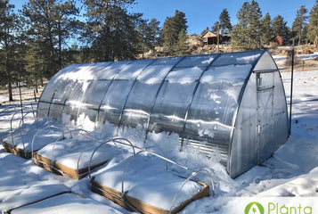 The humidity it makes... at 9,000 feet in central Colorado