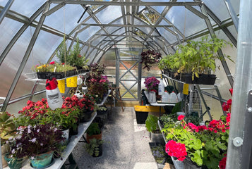 Growing Seedlings All Winter with the Sungrow 20 Greenhouse