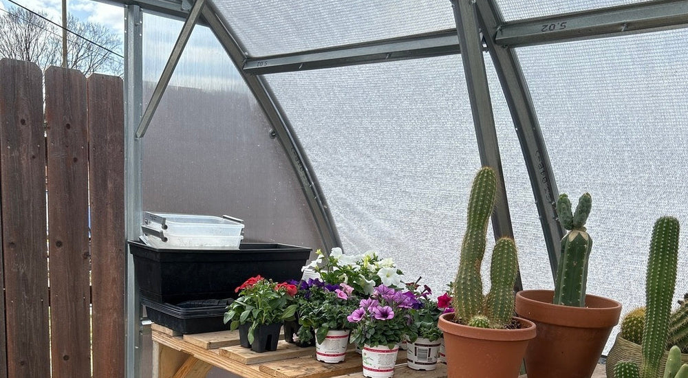 Our Greenhouse Stands Strong Against Wind and Hail