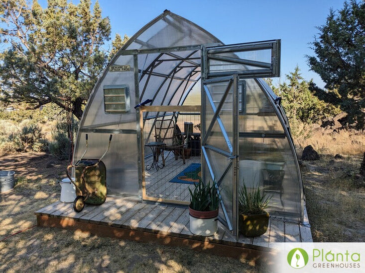 I dreamt of having a greenhouse for years