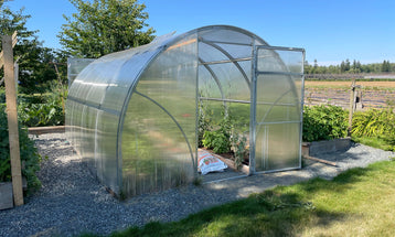 Sigma Urban Greenhouses