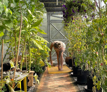 Loving our SoTru Farm Greenhouse