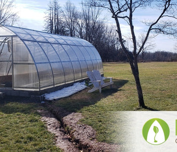 From Heirloom Seeds to Winter Greens
