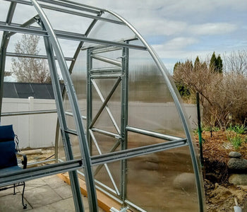 From Vegetables to Winter Plants