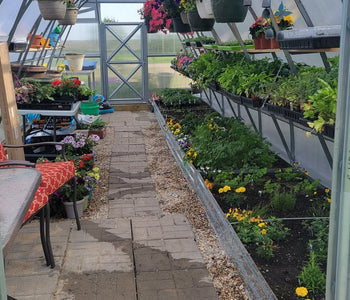Now We Have Two Sungrow 26 Greenhouses