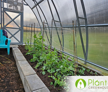 From Heirloom Seeds to Winter Greens