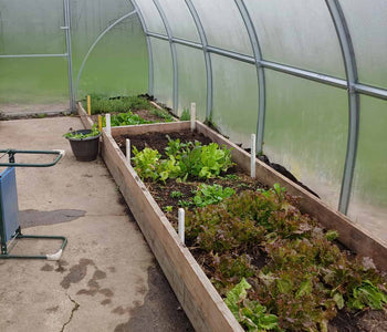A Perfect Space for Experimenting with Crops