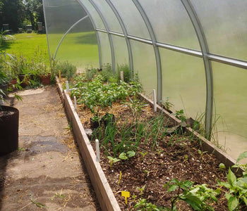 A Perfect Space for Experimenting with Crops