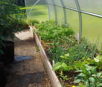 A Perfect Space for Experimenting with Crops