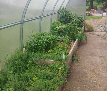 A Perfect Space for Experimenting with Crops