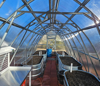 Durable Greenhouse for Homestead Success