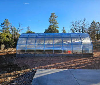 Durable Greenhouse for Homestead Success