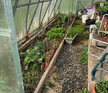Year-Round Harvests and a Garden Retreat with the Sungrow 20