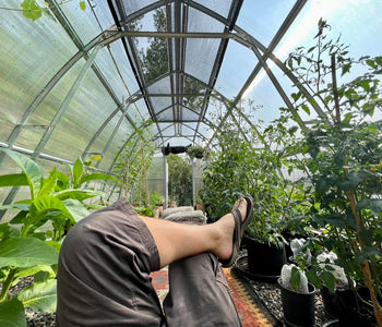 Loving our SoTru Farm Greenhouse
