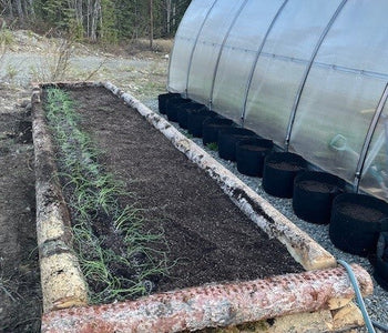 A total game changer in my zone 0-1 garden