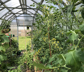 Loving My Greenhouse
