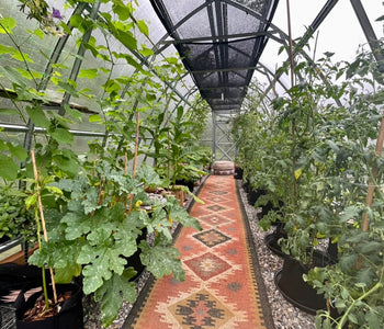 Loving our SoTru Farm Greenhouse