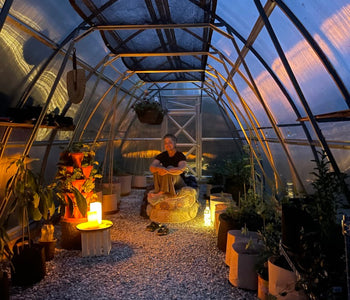 Loving our SoTru Farm Greenhouse