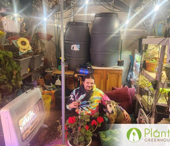 Chicago Cold, Cozy Greenhouse & a Love Story Inside