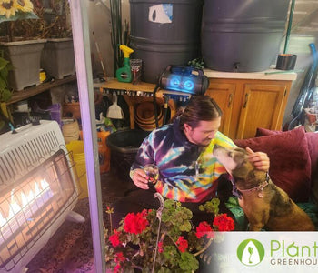 Chicago Cold, Cozy Greenhouse & a Love Story Inside