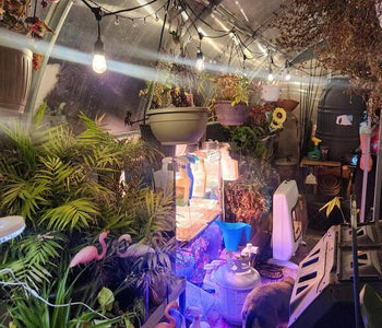 Chicago Cold, Cozy Greenhouse & a Love Story Inside