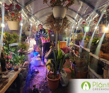 Chicago Cold, Cozy Greenhouse & a Love Story Inside