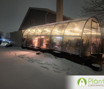 Chicago Cold, Cozy Greenhouse & a Love Story Inside