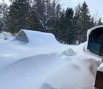 Built for Michigan Winters and Ready for Another Growing Season