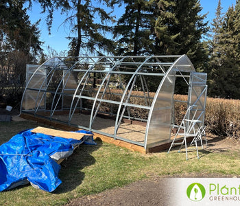 Star Garden: Growing With Purpose
