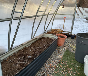 Also worked great to cure my onions!