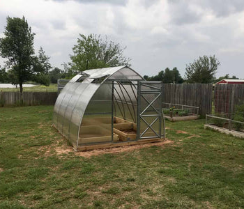 Healthy Plants and a Beautiful Greenhouse