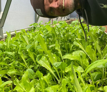A Four-Season Greenhouse Dream Come True