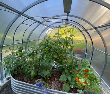 Morning Coffee in My Warm Greenhouse