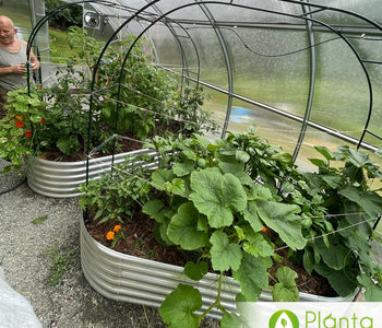 Morning Coffee in My Warm Greenhouse