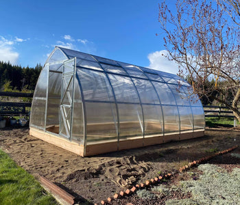 I Absolutely LOVE Gardening in My Greenhouse