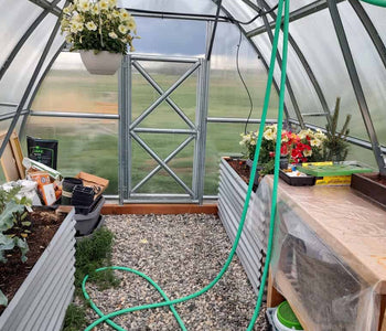 Our cucumbers and tomatoes went crazy!