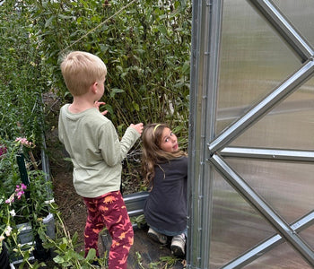 Feeding My Family with Homegrown Greens