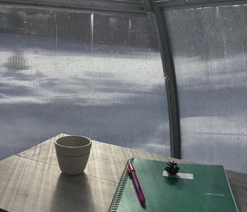 I cherish every sunny winter day spent inside