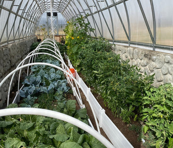 Upgraded to a 48' Sungrow
