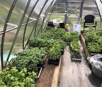 Loving My Greenhouse