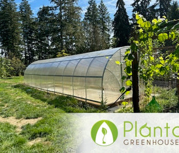 From Overwintering to Aquaponics