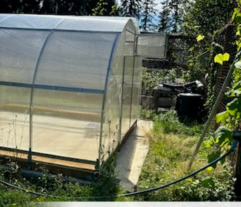 From Overwintering to Aquaponics