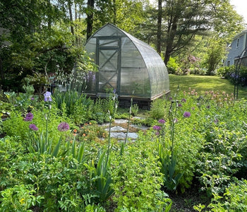 A Warm Escape in Our Backyard