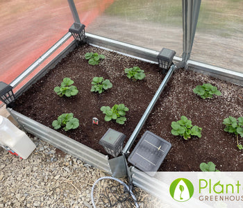 Controlling the Environment for Better Produce