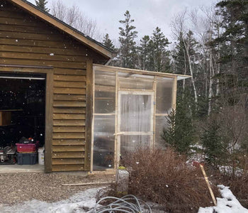 3 Sigma Greenhouses Later We Keep Choosing Planta